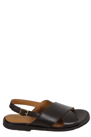 Angulus 5637 Dark Brown